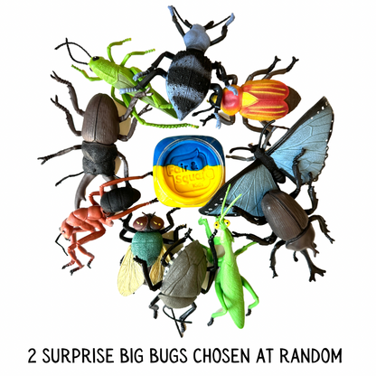Bug