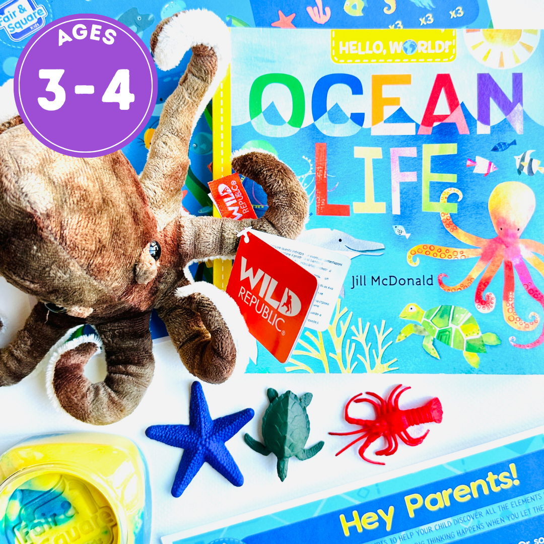 Little Big Thinker Box for ages 3-4