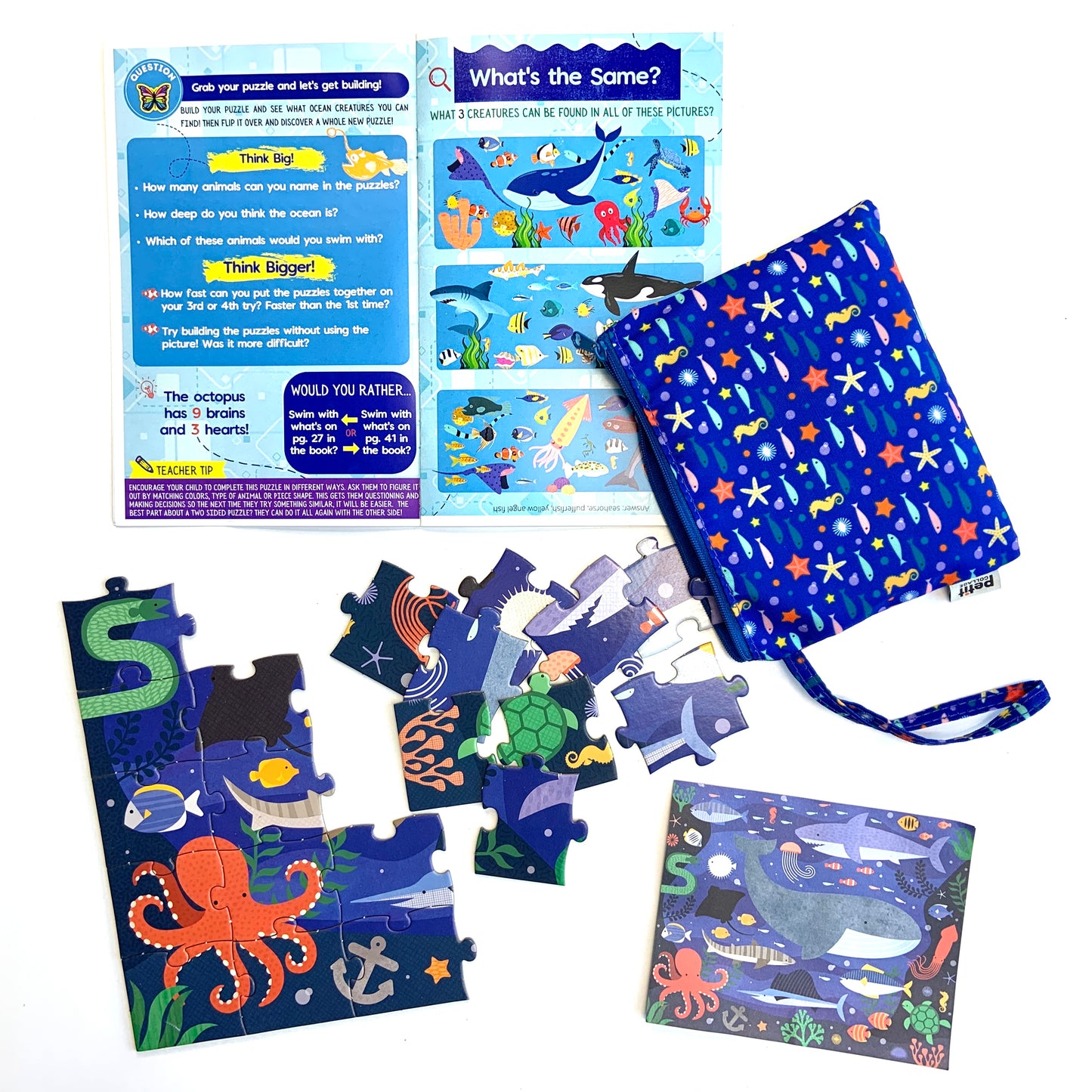 Ocean Big Thinker Box