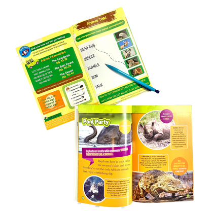 African Animals Big Thinker Box