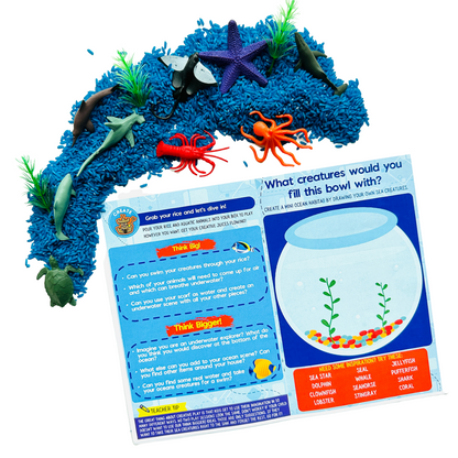 Ocean Big Thinker Box